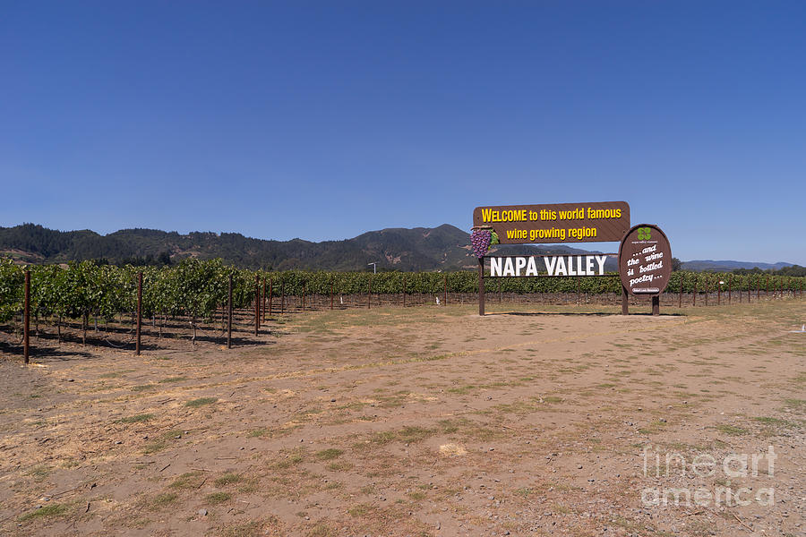 Welcome To Napa Valley California DSC1682 Photograph by Wingsdomain Art and Photography