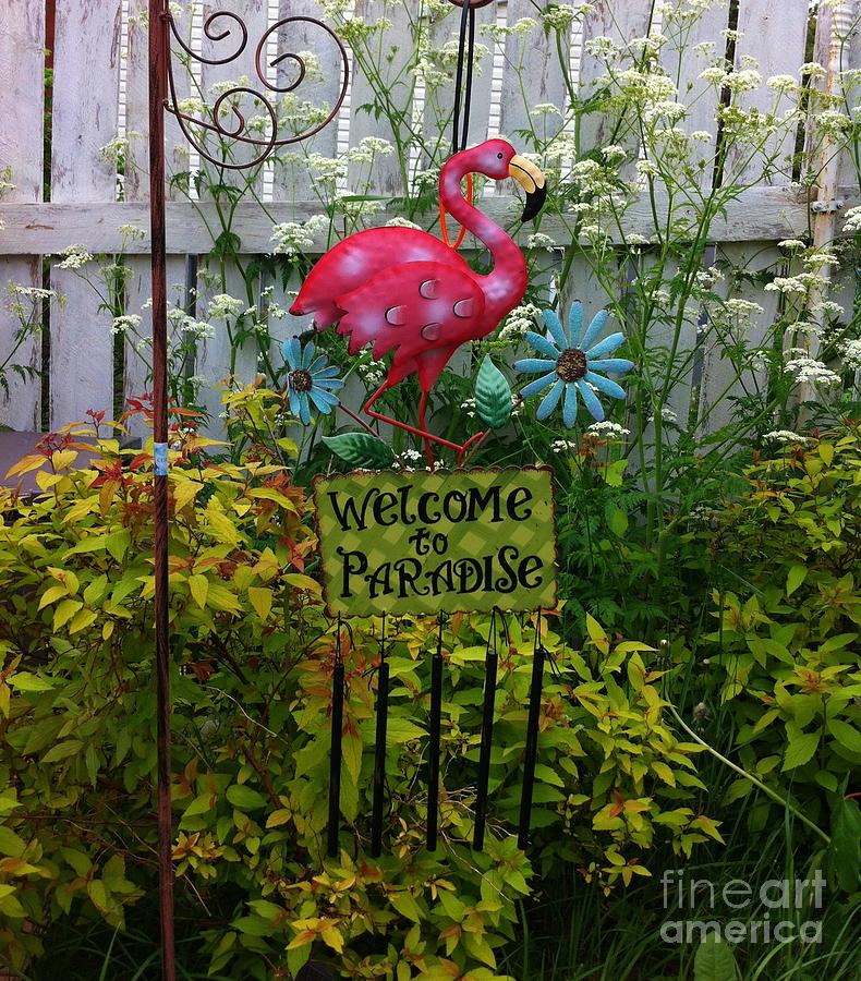 Welcome to Paradise Photograph by Barbara A Griffin