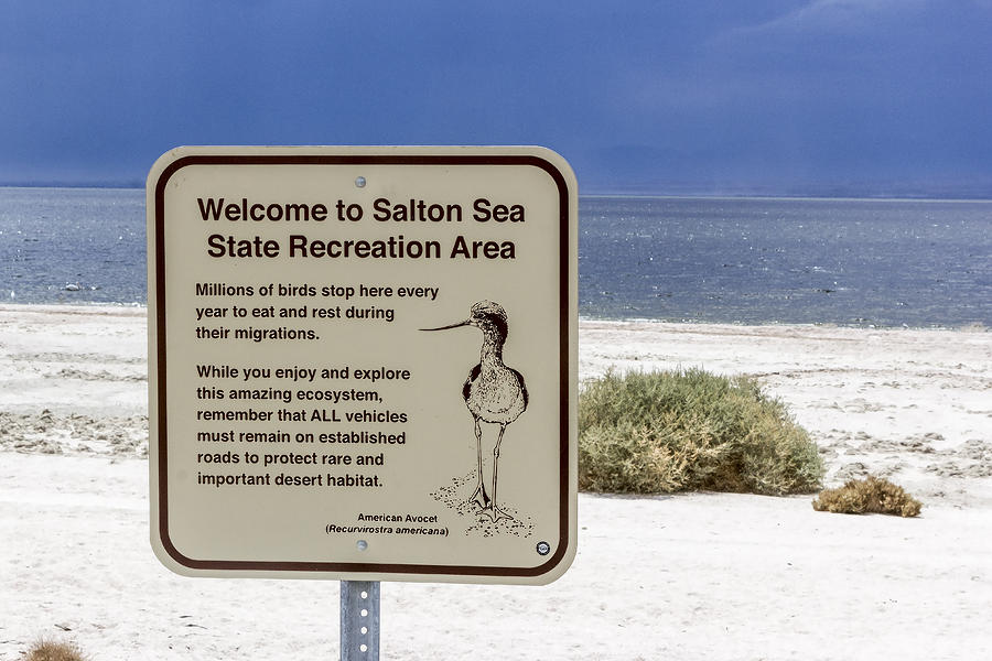 Sign Digital Art - Welcome To Salton Sea by Photographic Art by Russel Ray Photos