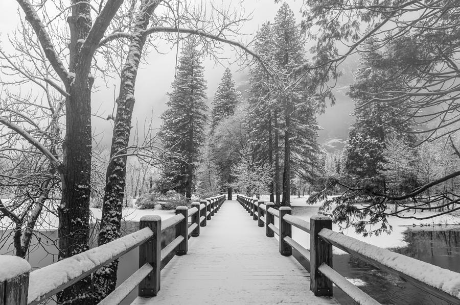 Welcome To Winterland BW Photograph by Jonathan Nguyen