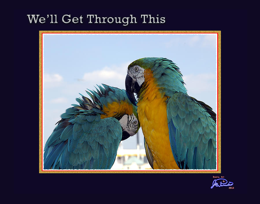 Parrot Digital Art - Well Get Through This by Joe Paradis