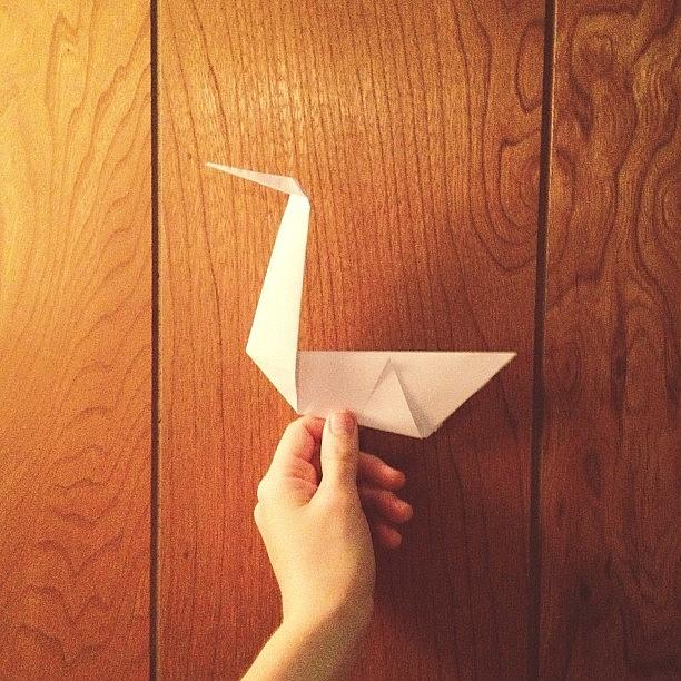 Well My Man Makes Me Origami Swans. How Photograph by Amanda Schoonover