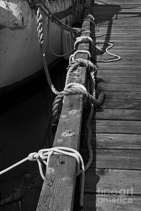 Well tied up Photograph by Inge Riis McDonald