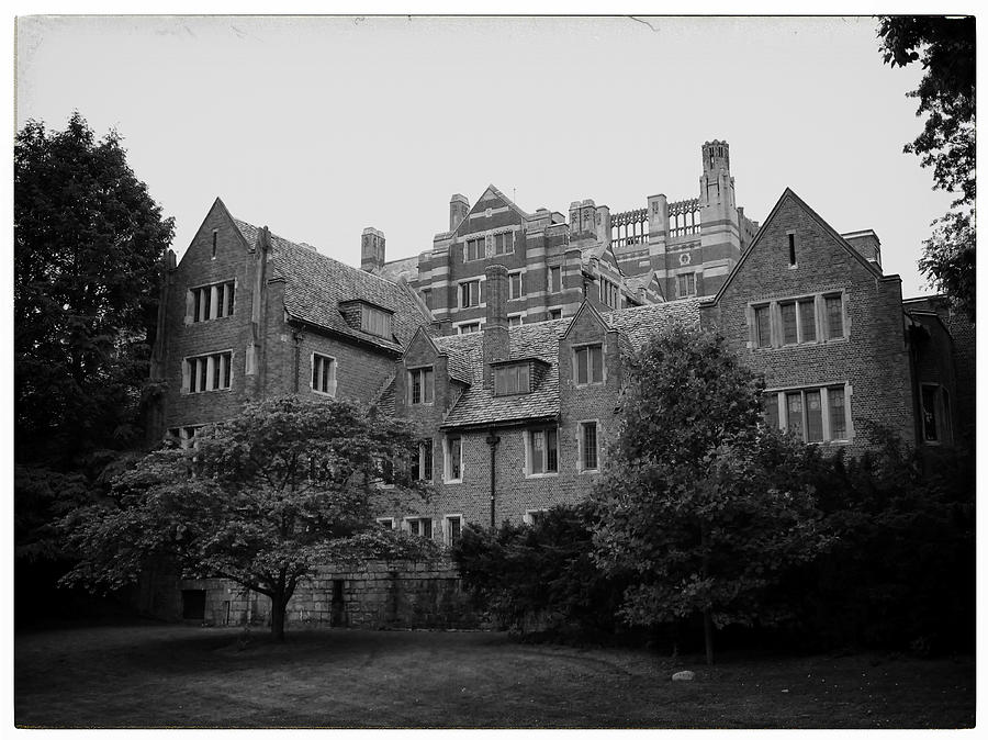 Wellesley Collage Photograph by Georgia Clare