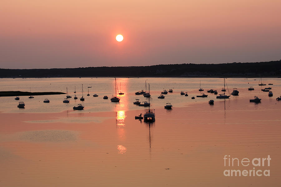 Sunset Photograph - Wellfleet Harbor Sunset by Jayne Carney