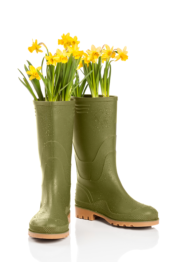 Spring Photograph - Wellington Boots by Amanda Elwell