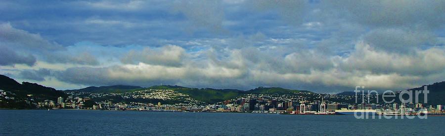 Wellington New Zealand Photograph by Michele Penner