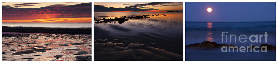 Nature Photograph - Wells Beach Maine Tryptic by Glenn Gordon