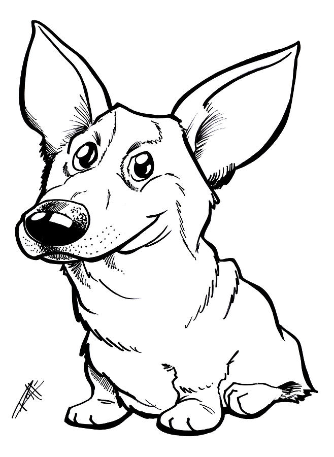 Welsh Corgi Drawing by Big Mike Roate - Pixels