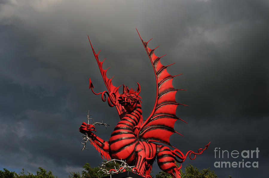 Welsh Dragon Photograph by Colin Woods