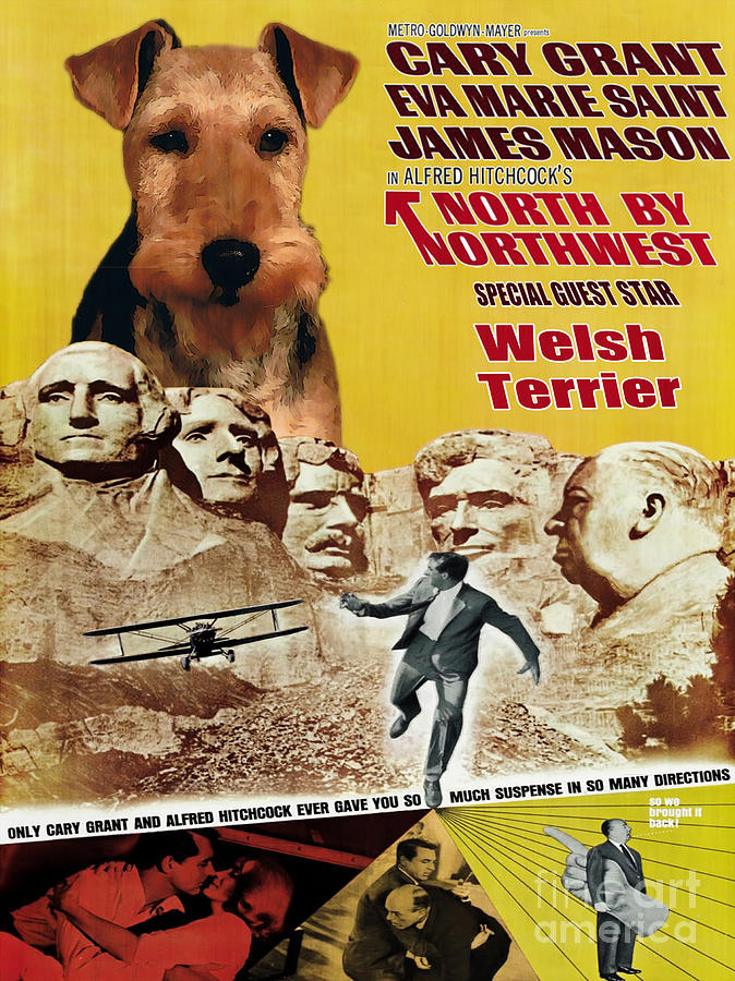 Welsh Terrier Art Canvas Print - North By Northwest Movie Poster Painting by Sandra Sij