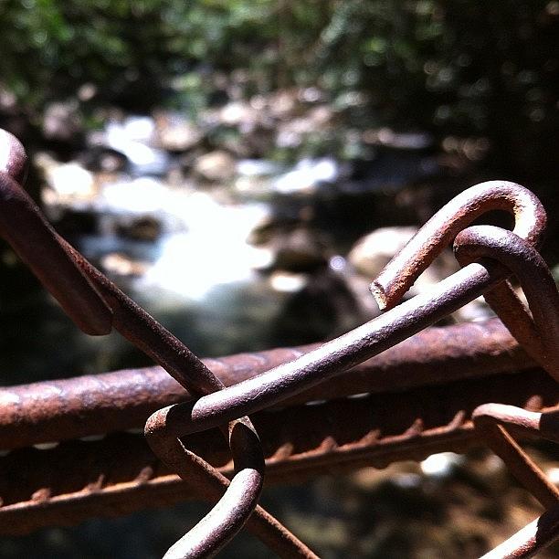 Bridge Photograph - Went Hiking And It Was Amazing ☀👣 by Jenni Munoz