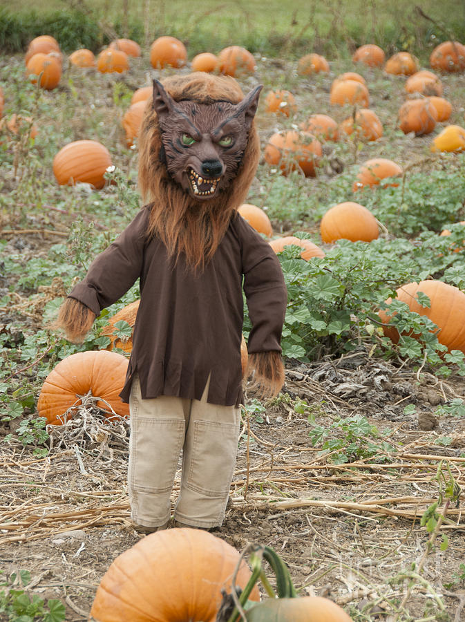 Fall Photograph - Werewolf in the Pumpkin Patch by Juli Scalzi