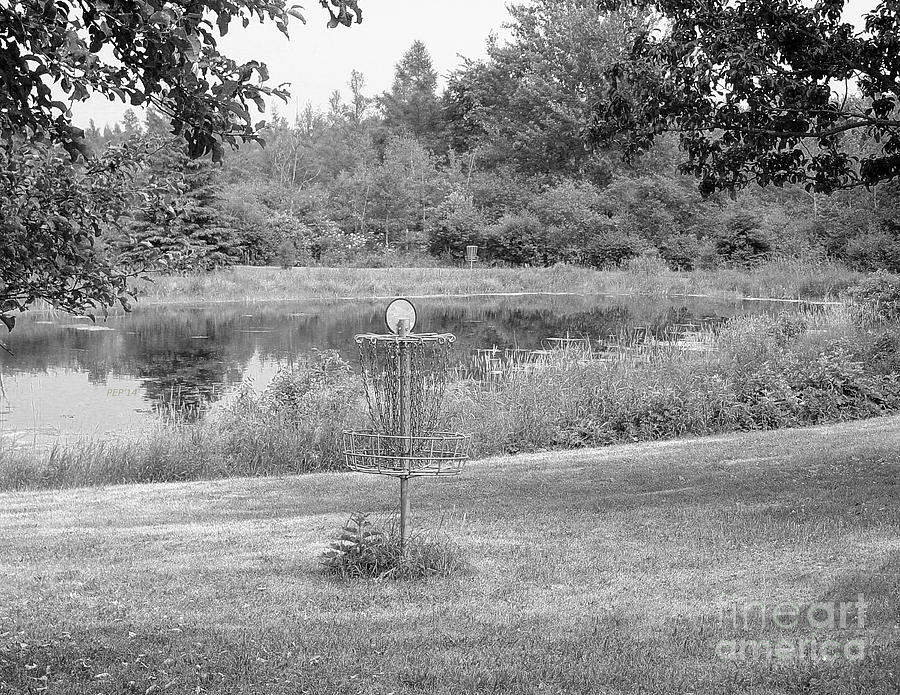 Wessel Pines Disc Golf Course Photograph by Phil Perkins