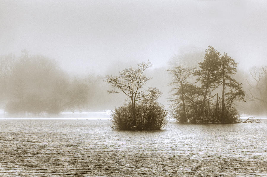 West Brook Pond  Photograph by Steve Gravano