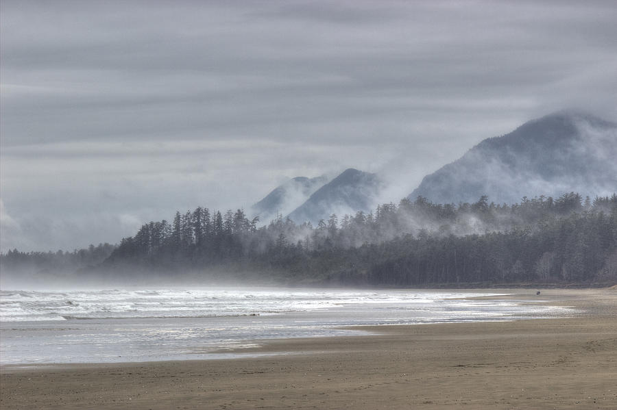 West Coast Mist Photograph by Randy Hall