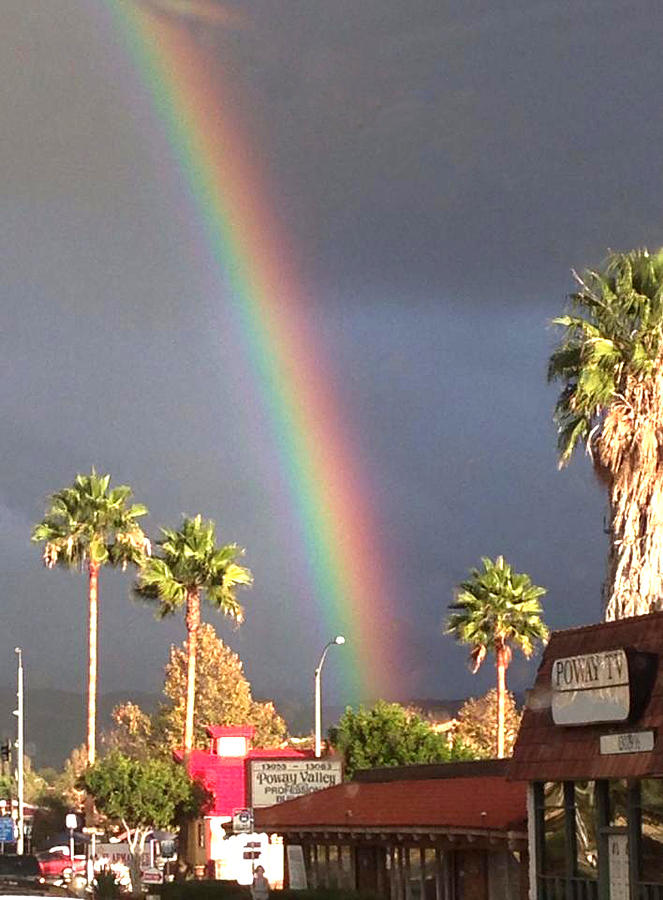 Rainbow Photograph - West Coast Rainbow by Rosetta Medders