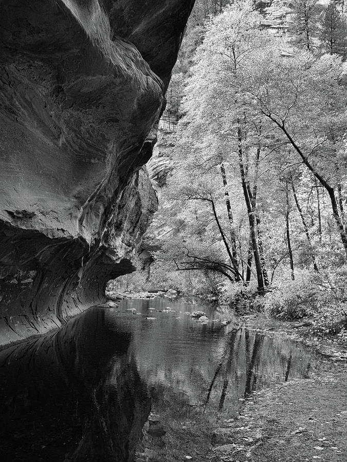 West Fork Reflections - Black and White Photograph by Harold Rau