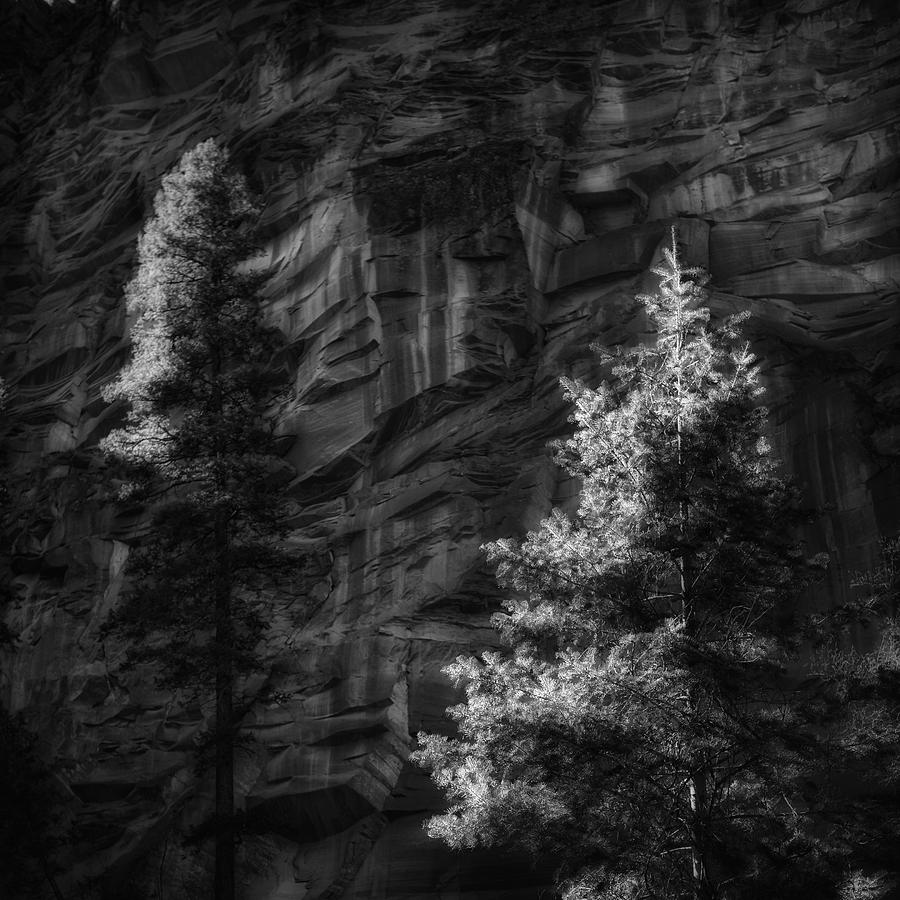 West Fork Rock Face Number Three Black and White Photograph by Bob Coates