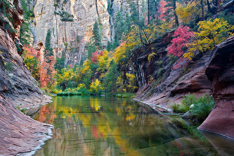 Fall Photograph - West Fork Serenity by Guy Schmickle