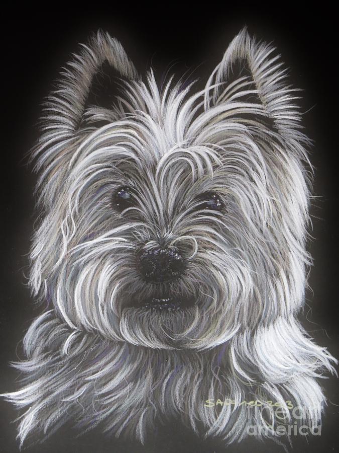 Dog Painting - West Highland Terrier by Shirley Davies