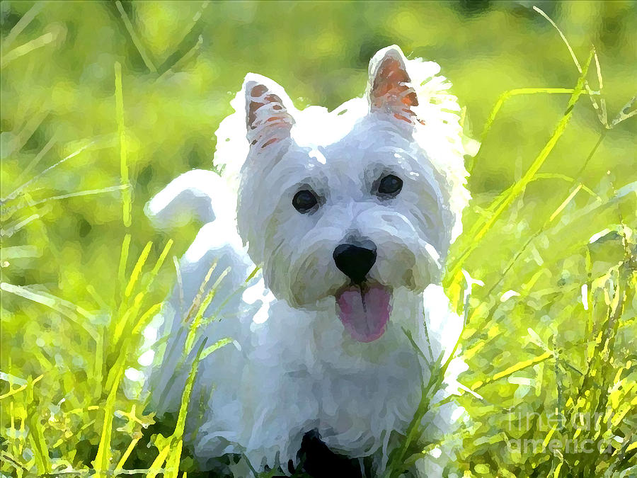 West Highland White Terrier Painting Mixed Media by Marvin Blaine
