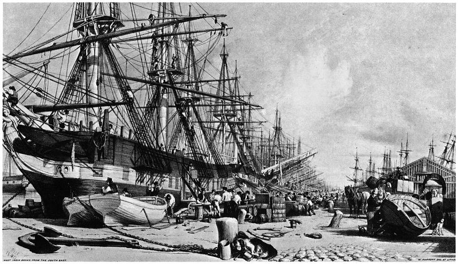 West Indian Dock, C1880 Painting By Granger