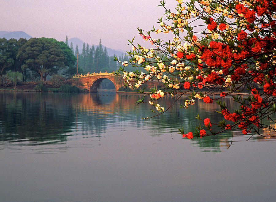 West Lake spring Photograph by Dennis Cox