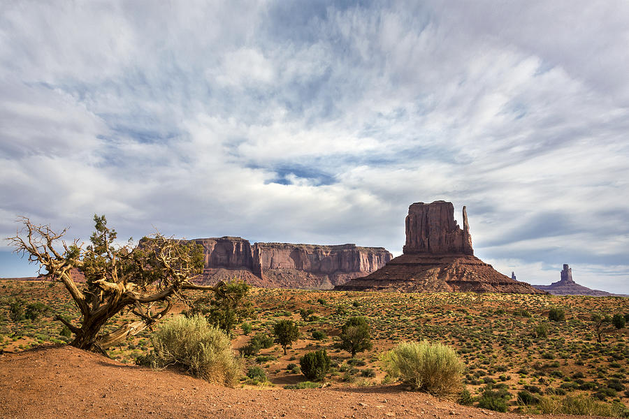 West Mittens - Monument Valley - Arizona Photograph by Brian Harig