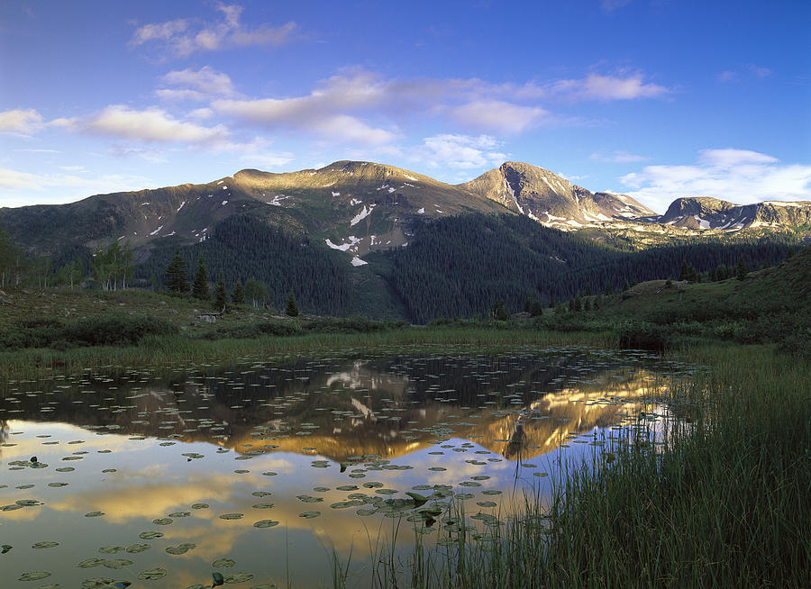 West Needle Mountains Reflected In  Pond Photograph by Tim Fitzharris