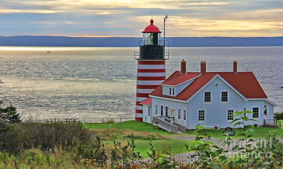 West Quoddy Head Lighthouse Photograph - West Quoddy Head Lighthouse 3827 by Jack Schultz