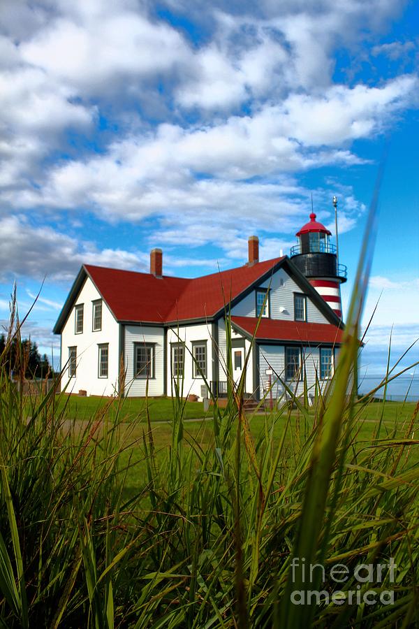 Fathers Day Photograph - West Quoddy_5421 by Joseph Marquis
