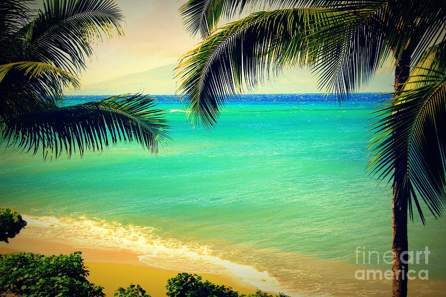 West Side Beach Palms Photograph by Michele Hancock Photography