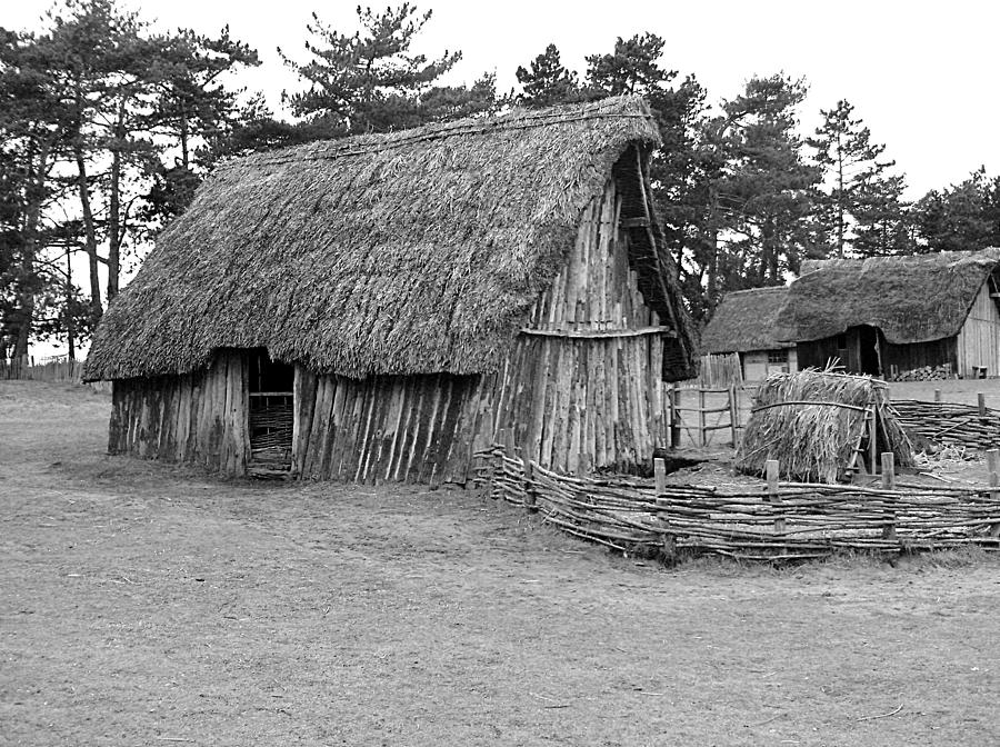 West Stow Anglo Saxon House Photograph by Richard Reeve