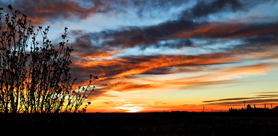 West Texas Golden Sunrise Photograph by Mark McKinney