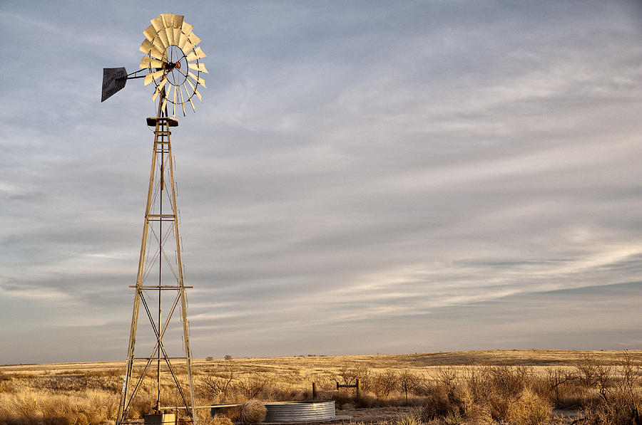 American Landmark Photograph - West Texas Sentry by Melany Sarafis