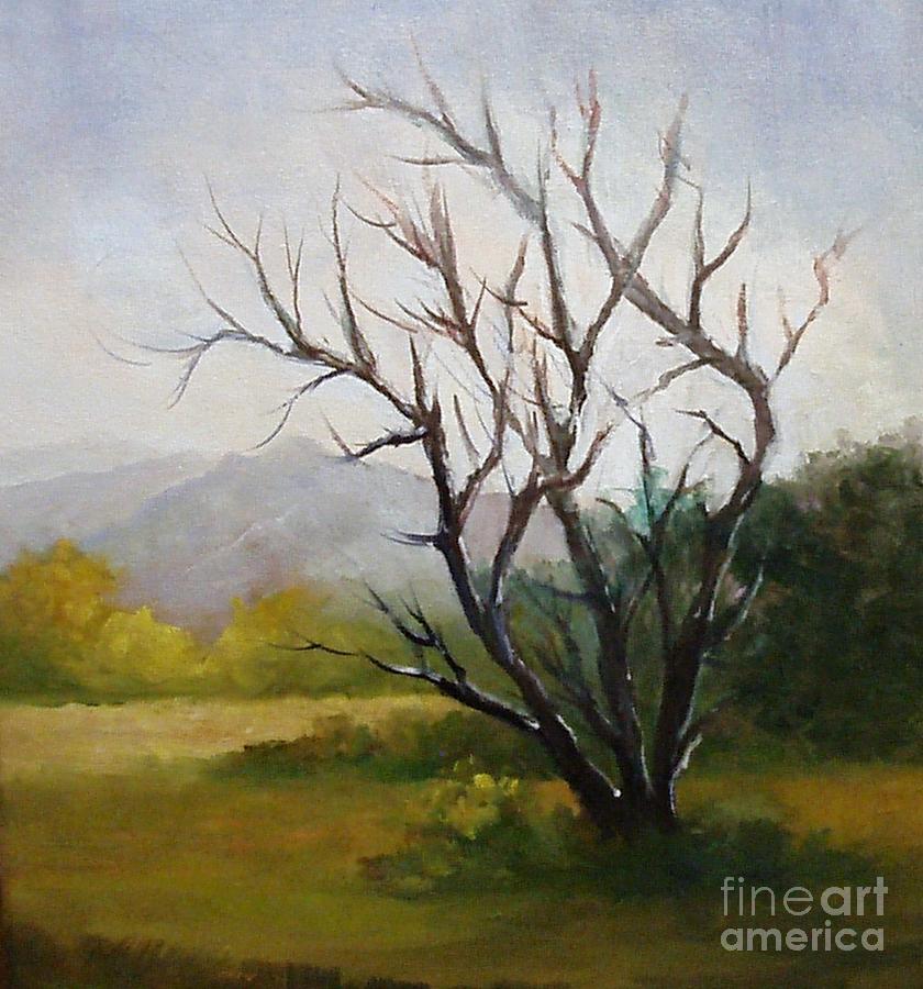 West Texas Tree Painting by Barbara Haviland