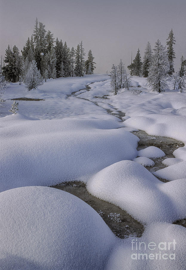 West Thumb Snow Pillows II Photograph by Sandra Bronstein