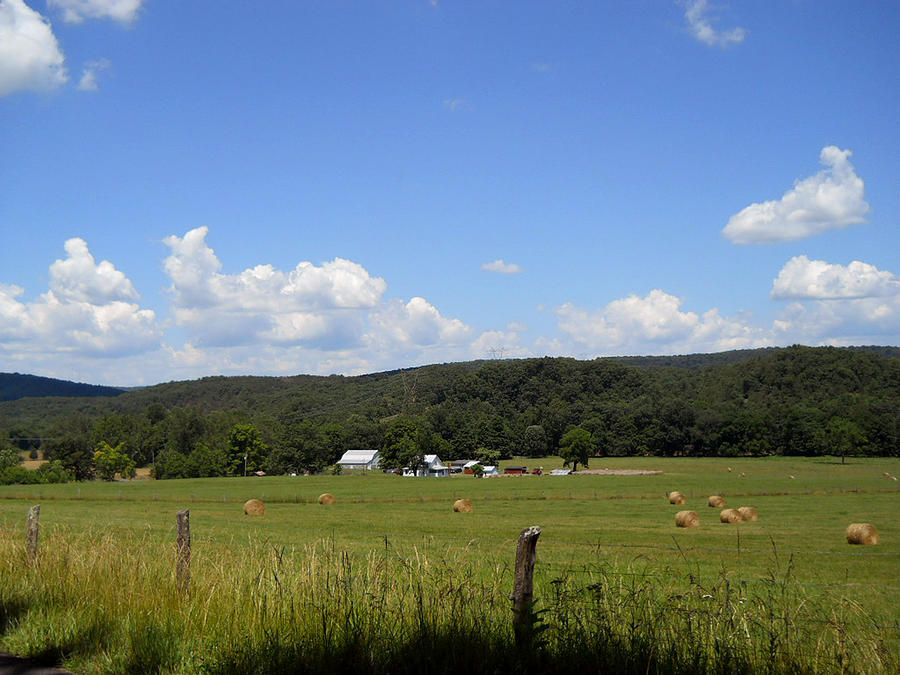 West Virginia Farm Photograph by Dorothy Maier