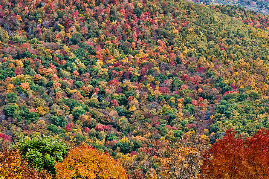 West Virginia Hillside Photograph by Steve Stuller
