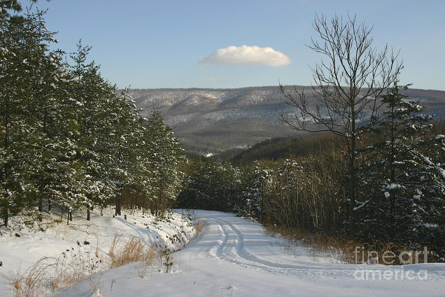 West Virginia Winter Photograph by Jeannette Hunt