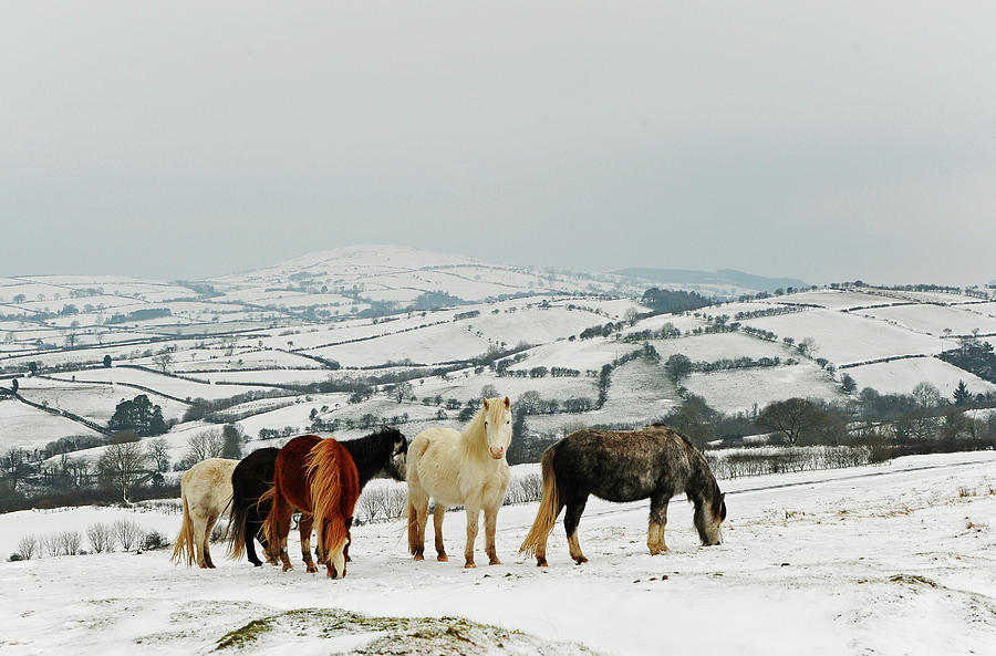 West Wales Winter Photograph by John B R Davies