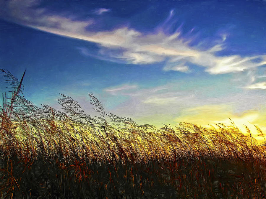 Sunset Photograph - West Wind - Paint by Steve Harrington