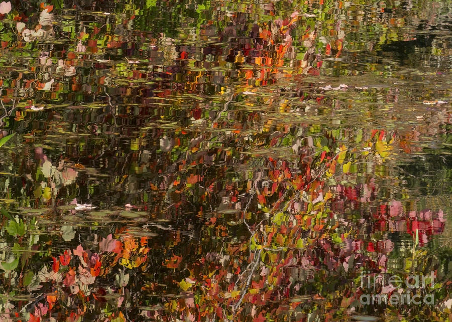 Westconnaugh Autumn Abstract II Photograph by Lili Feinstein