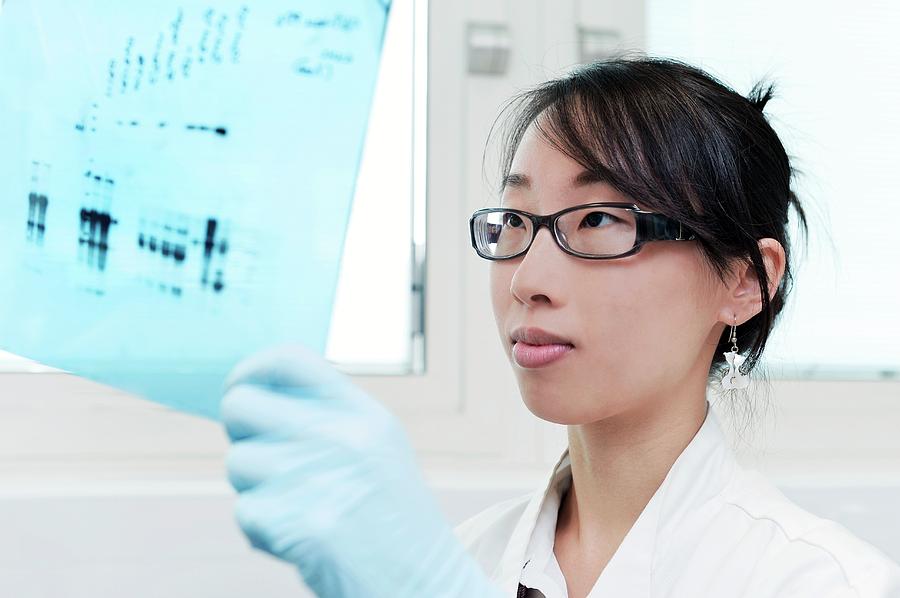 Human Photograph - Western Blot Protein Analysis by Mcs