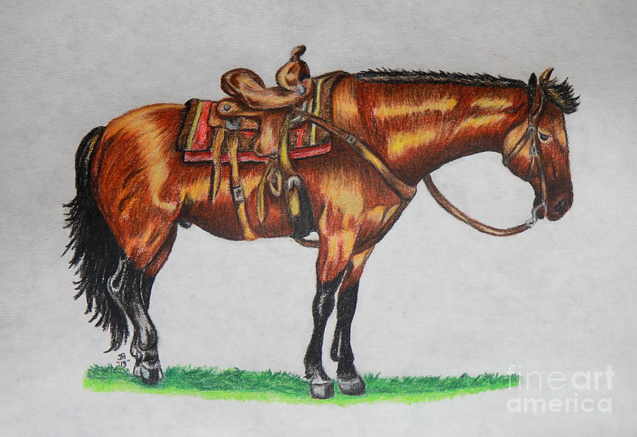 Horse Drawing - Western Horse by Sheri Simmons