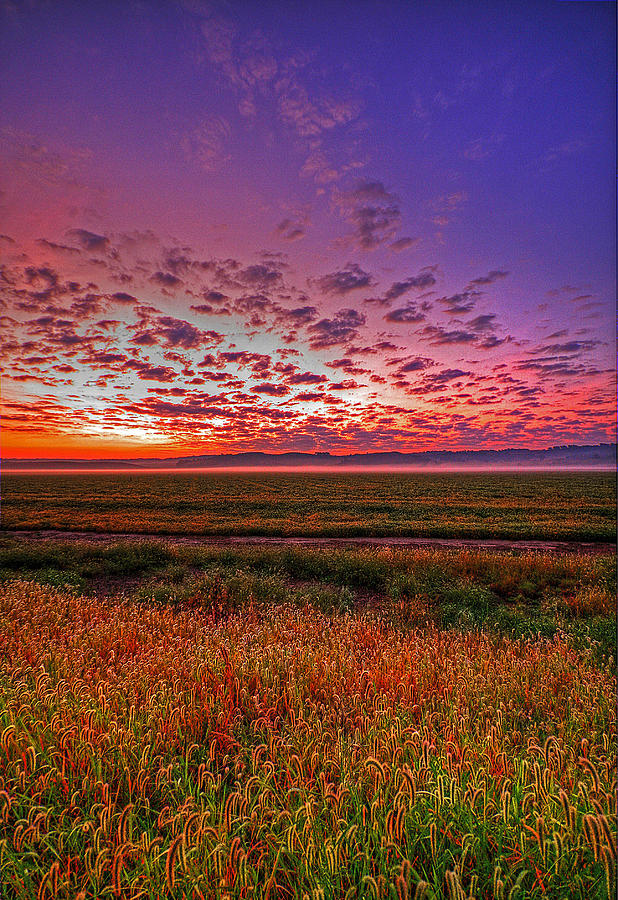 Western Iowa Sunrise Photograph by Chris Allington