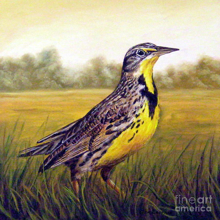 Western Meadowlark Afternoon Painting by Tom Chapman