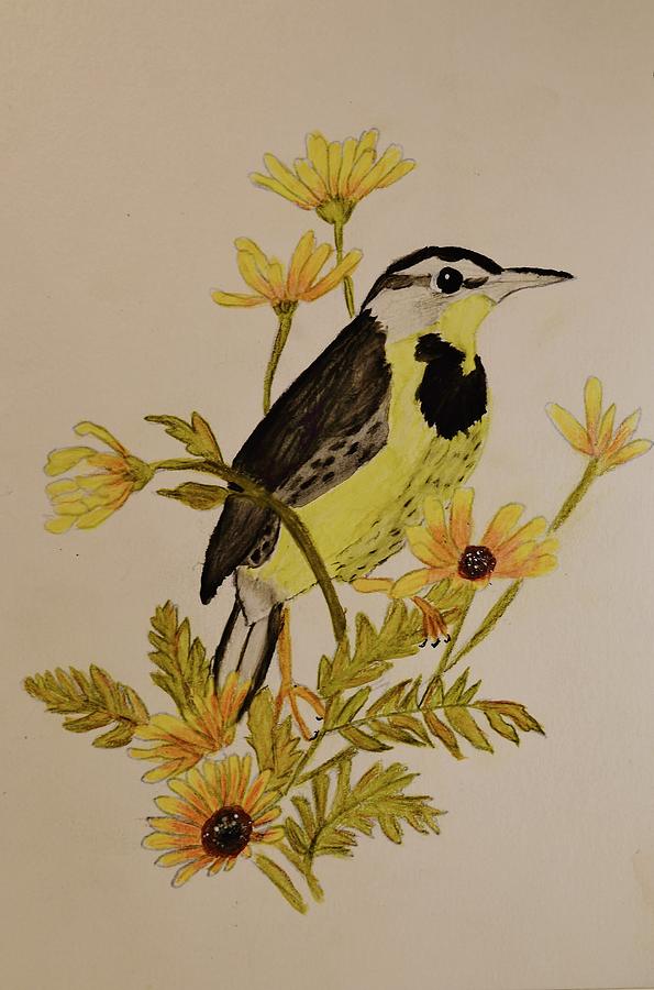 Bird Painting - Western Meadowlark by Linda Brown