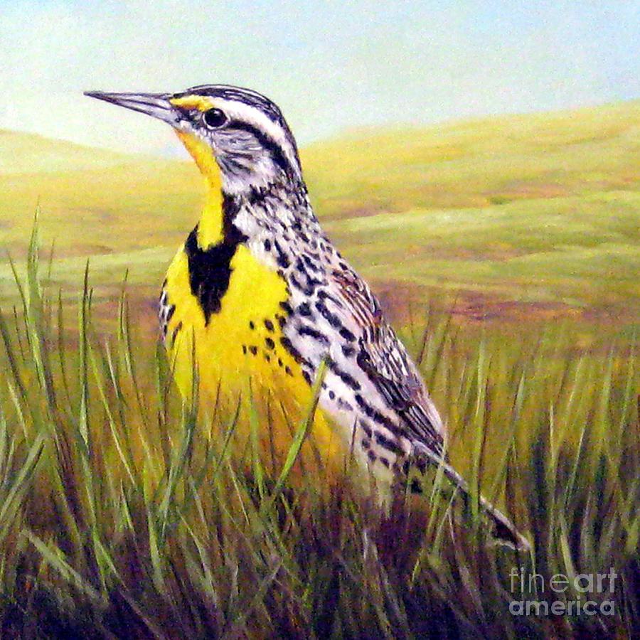 Bird Painting - Western Meadowlark by Tom Chapman